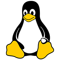 Linux MDM标志